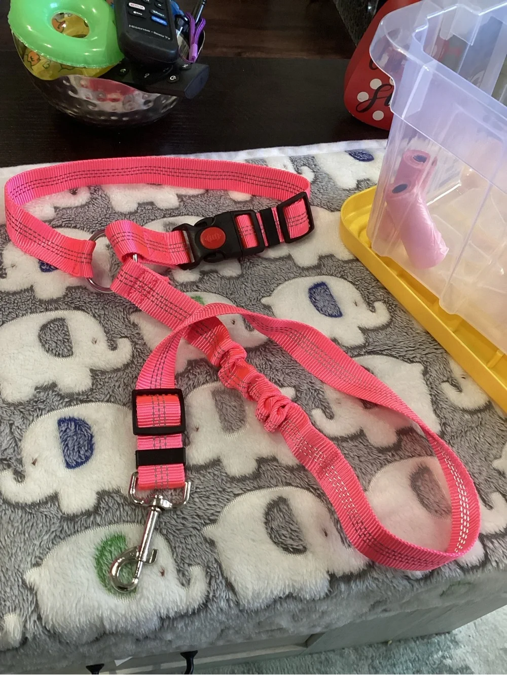 NWOT - Hot Pink Water & Food Btle w/Blk Strap, Leash, Car Restraint, & Collar!!!